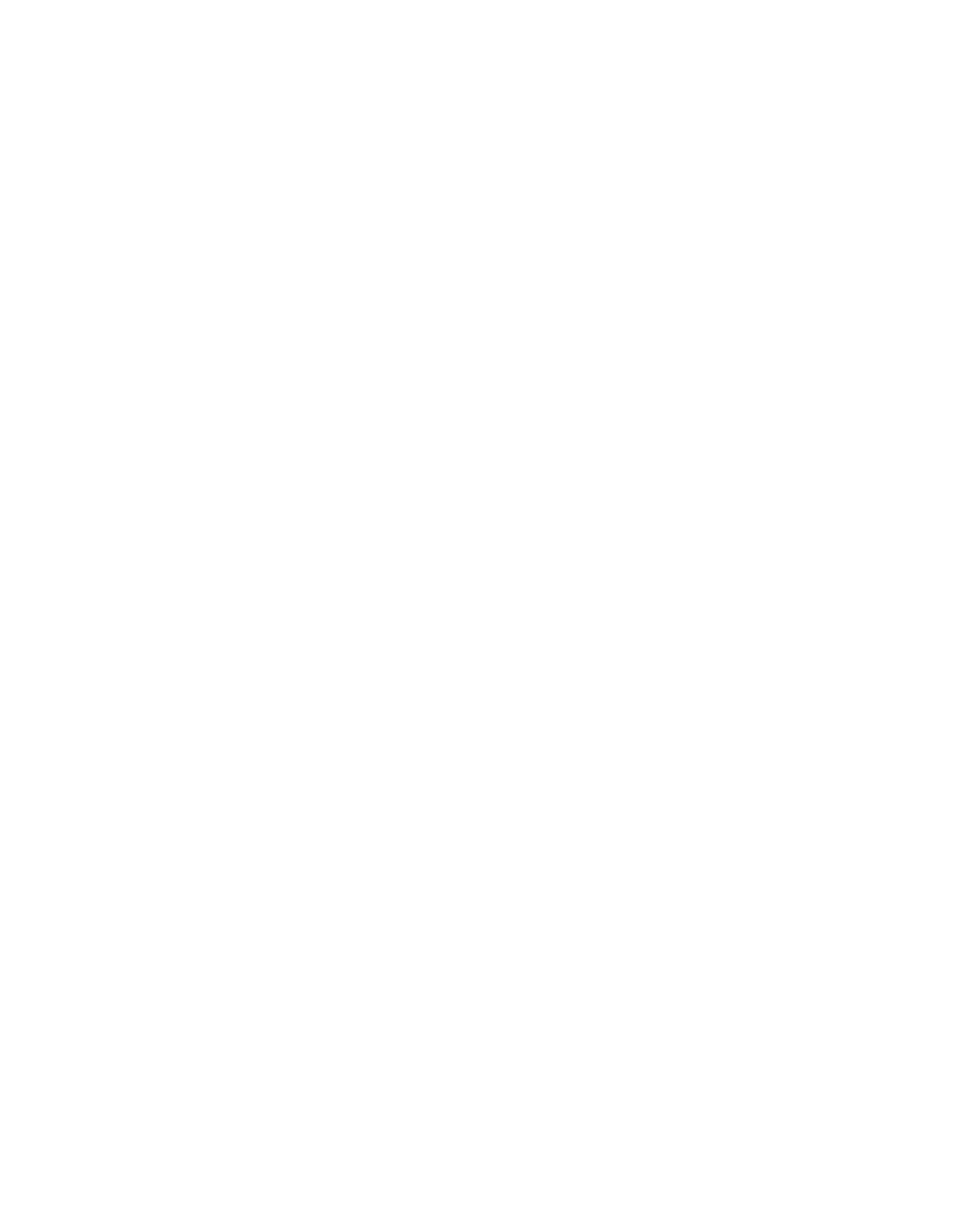 Business Intelligence icon